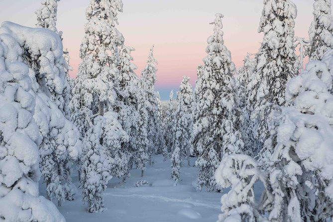 Rovaniemi Photography Tour - Posing for Memorable Shots