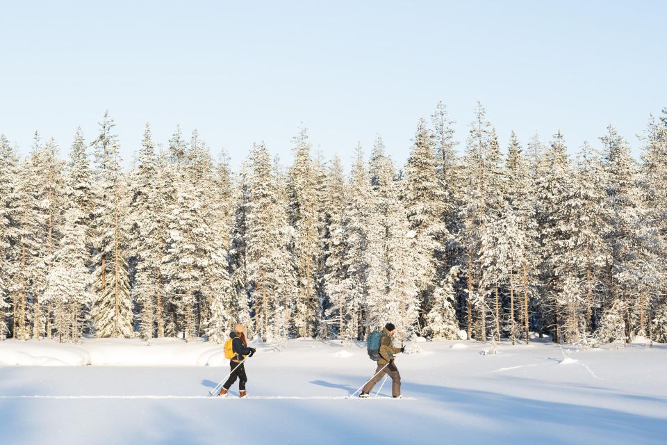 Rovaniemi: Small-group Ski Trek to the Wilderness - Suitability and Cancellation Policy