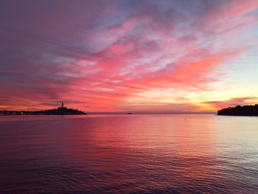 Rovinj: Dolphin Watching Sunset Speedboat Trip With Drinks - Customer Feedback