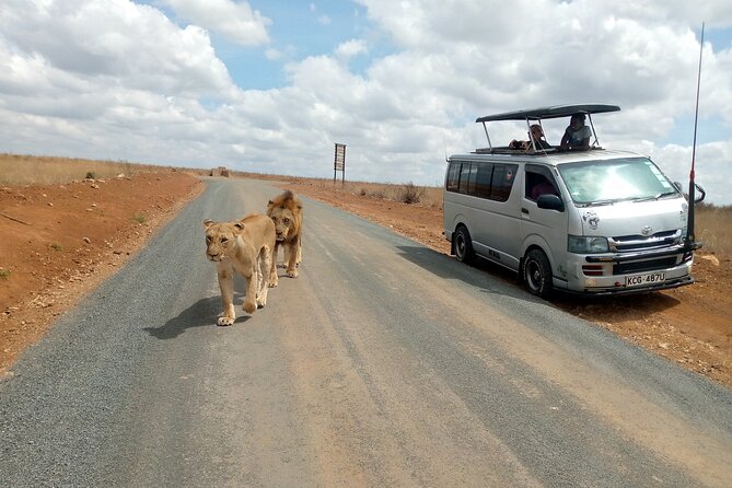 Safari Tour : Nairobi National Park - Pickup Details for the Safari Tour