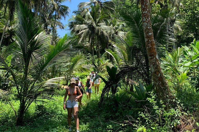 Salto De La Jalda - Leaping La Jalda- Hiking or Horse Riding by Rain Forest - Leaping La Jalda