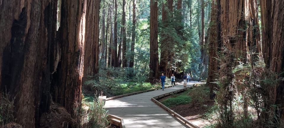 San Francisco: Muir Woods and Sausalito Small Group Tour - Booking Options