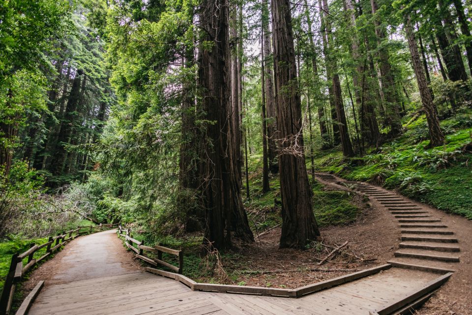 San Francisco: Muir Woods, Napa & Sonoma Valley Wine Tour - Age Requirements and Dress Code