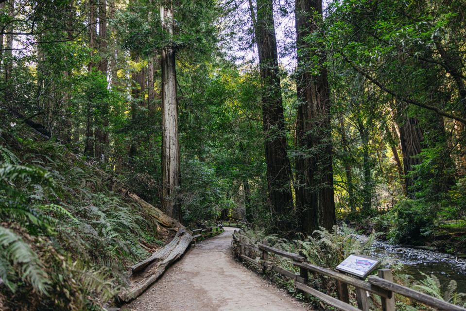 San Francisco: Muir Woods, Sausalito and SF Bay Cruise - Tour Ratings and Reviews