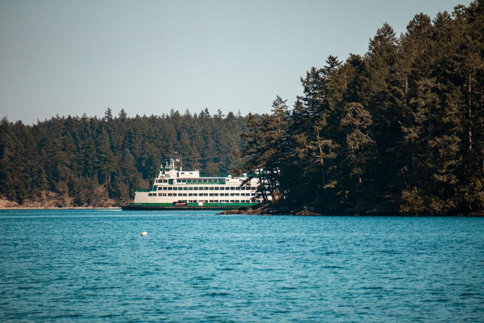 San Juan Island: 3-Hour Kayak Tour - Requirements and Restrictions