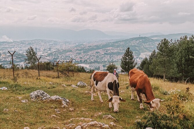 Sarajevo City Tour: Urban Hike off the Beaten Path - Booking and Cancellation Policy