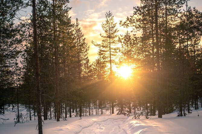 Scenic Electric Fat Bike Group Ride in Rovaniemi - Booking and Confirmation