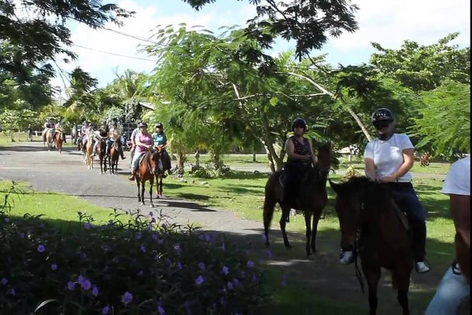 Scenic Horseback Riding Tour From San Juan - Post-Ride Refreshments