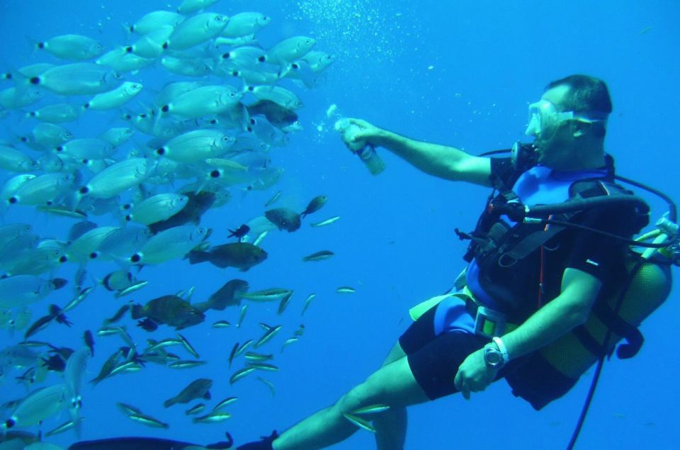 Scuba Diving: Explore the Depths of Alanya - Safety and Guidance