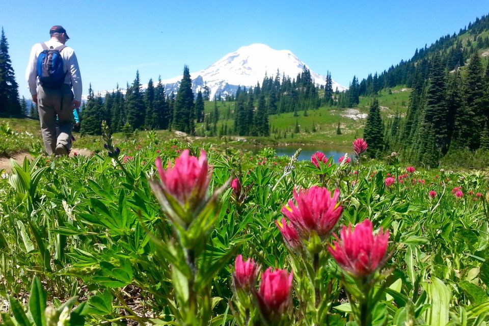 Seattle: Mount Rainier Park All-Inclusive Small Group Tour - Inclusions and Amenities