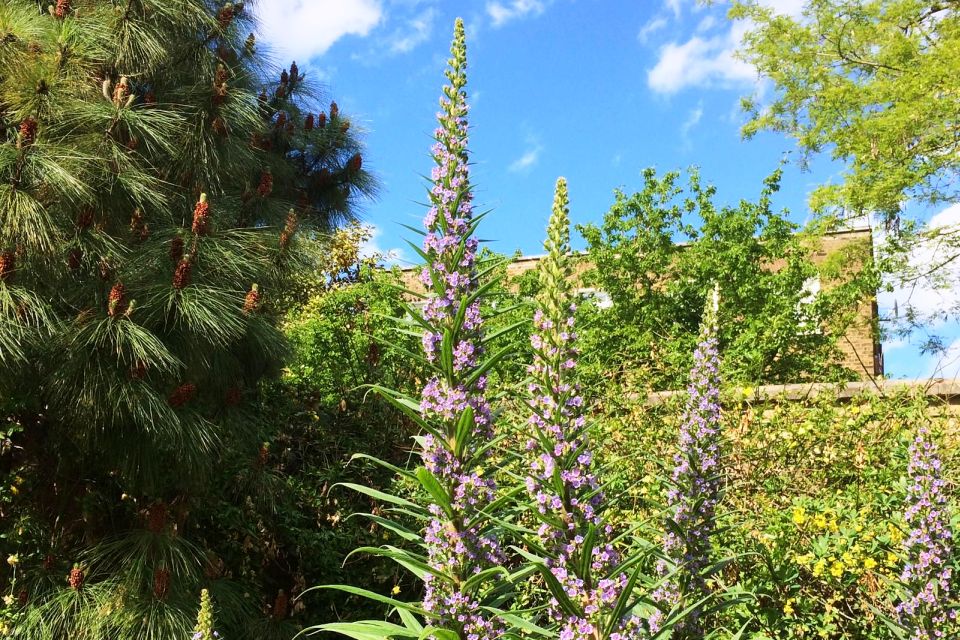 Secret Gardens of London Full-Day Tour - High Tea Experience