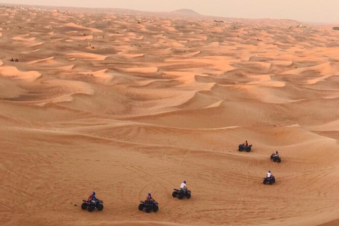 Self Drive Quad Bike in Open Desert With Sand Boarding and Camels - Camel Ride and Sand Boarding