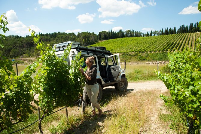 Semi Private Tour: Tuscany Wineland Safari - Important Notes