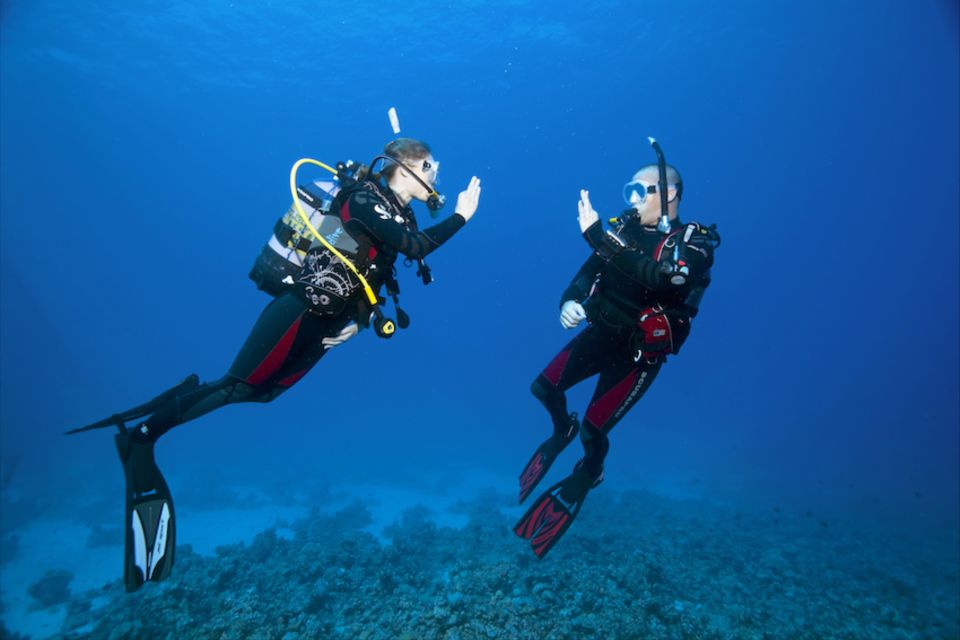 Sesimbra: Try Scuba Diving - Other Considerations