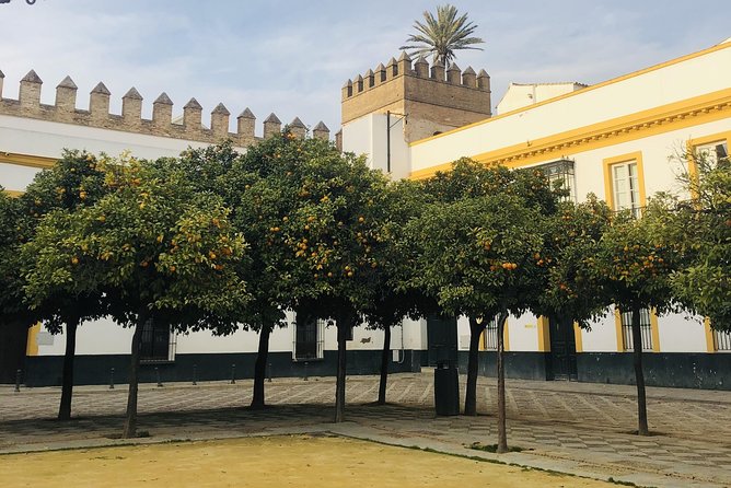 Seville Highlights Private Walking Tour - Tour Logistics and Details