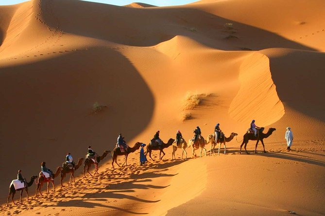 Shared Group Desert Tour From Marrakech for 3 Days - Additional Details