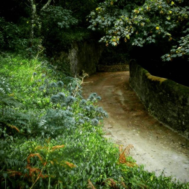 Sintra: Legends and Medieval Stories Private Walking Tour - Getting to the Meeting Point