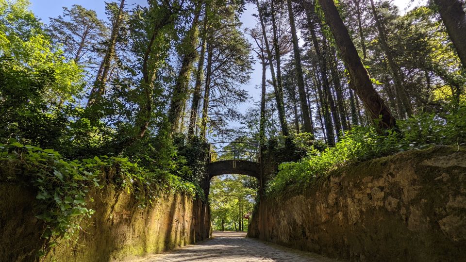 Sintra Small Group Tour From Lisbon With Pena Palace Ticket - Group Size Information