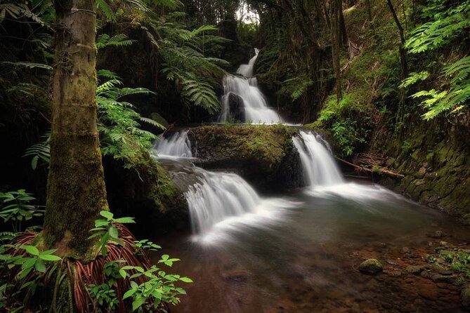 Small Group Big Island Waterfalls Adventure - Contact Information