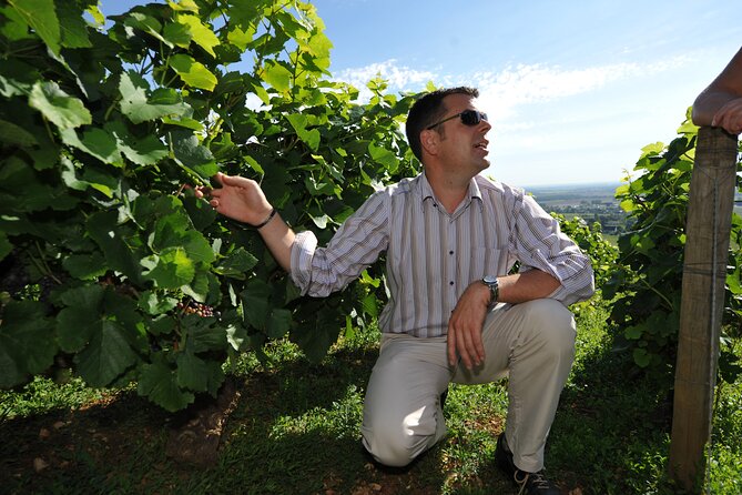 Small Group Burgundy Tour of Beaune With Wine Tasting From Dijon - Exploring Hospices De Beaune and Old Town