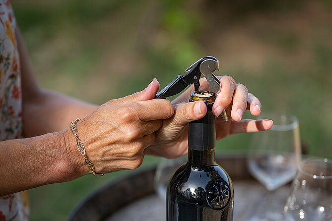 Small-Group Half-Day Languedoc Wine and Olive Tour From Montpellier - Meeting Point and Logistics