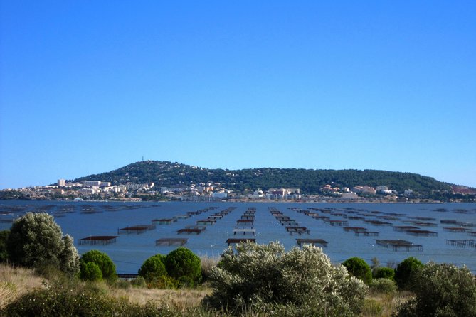 Small-Group Half-Day Languedoc Wine and Oyster Tour From Montpellier - Tasting Fresh Mediterranean Oysters