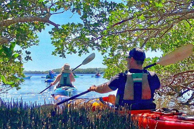 Small Group Kayak Tour of the Shell Key Preserve - Meeting Point and Logistics