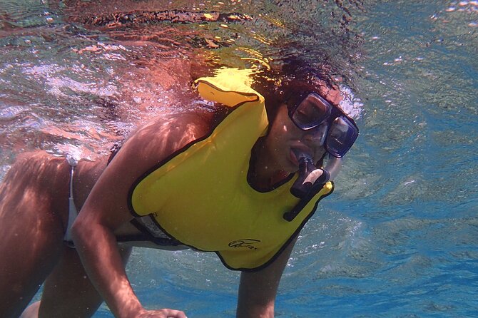 Small-Group Sea Scooters Snorkel at Mangel Halto Beach in Aruba - Photographic Memories