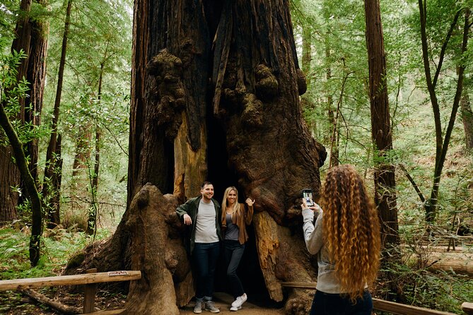 Small Group: SF, Muir Woods and Sausalito + Optional Alcatraz - Booking Flexibility