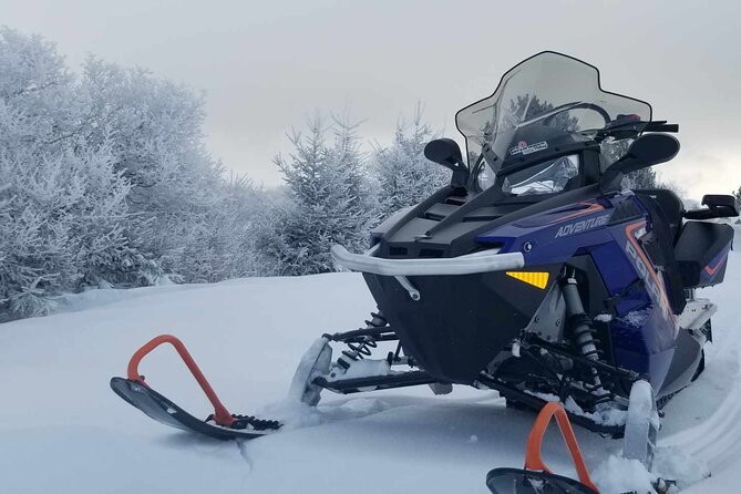 Snowmobiling Activity Rides of 1 Hour 30 - Customer Reviews and Ratings