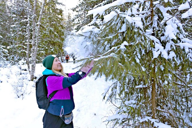 Snowshoe Tour in Winter Wonderland - Oslo - Weather Conditions