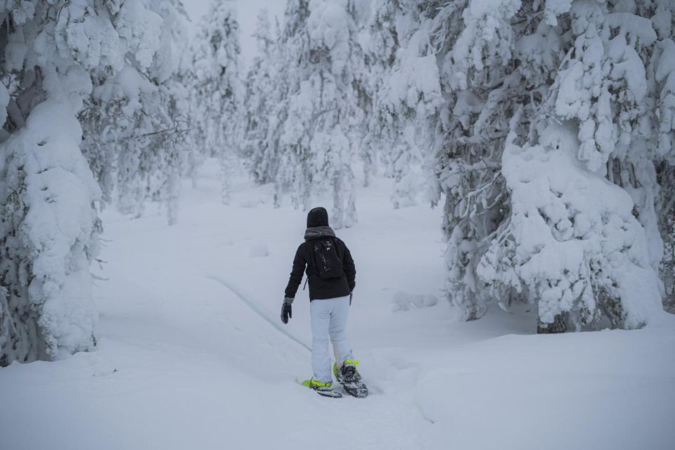 Snowshoeing in the Frozen Forest - Suitable Participants