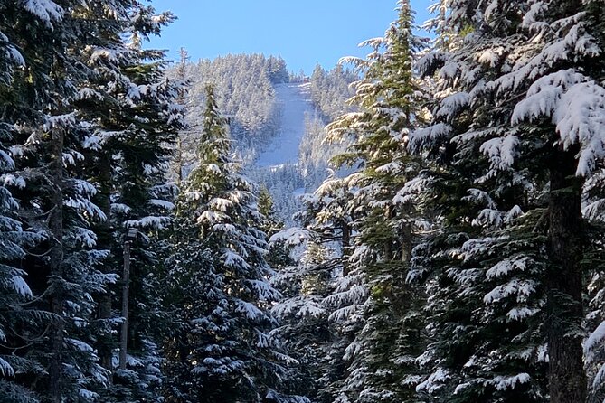 Snowshoeing In Vancouvers Winter Wonderland - What to Bring