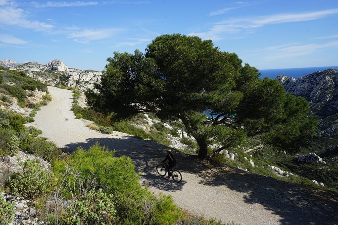 Sormiou Calanques National Park Electric Bike Tour From Marseille - Tour Duration and Group Size