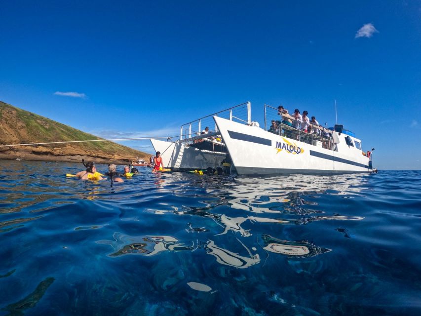 South Maui: PM Snorkel to Coral Gardens or Molokini Crater - Snorkel Destinations