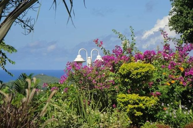 St Lucia Northern Island Tour - Short Hike at Lucians Country House