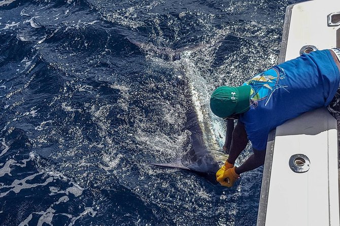 St Lucia Sport Fishing Tour - Cruise Ship Passengers