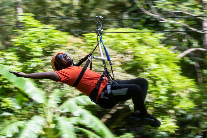 St Lucia Ultimate 3: Aerial Tram, Zipline and Hiking at Rainforest Adventures - Guided Hike