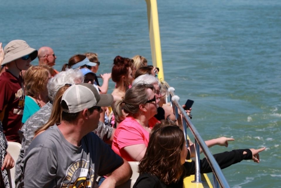 St. Pete Beach: Dolphin Racer Cruise by Speedboat - Unique Coastal Experience