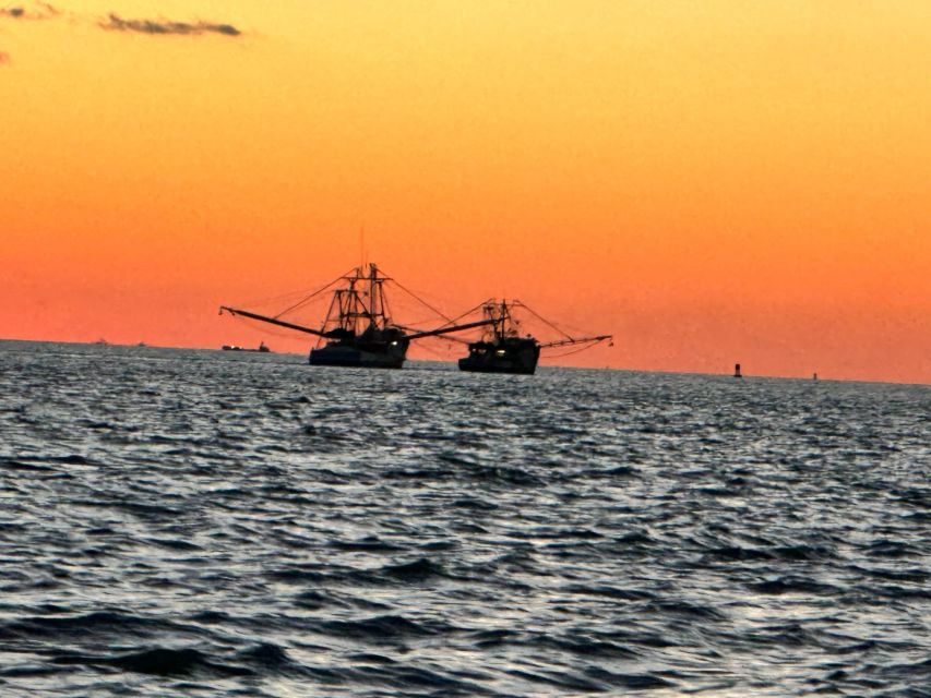 St. Petersburg, Florida: Sunset and Skyway Lights Boat Tour - Admiring the Sunshine Skyway Bridge