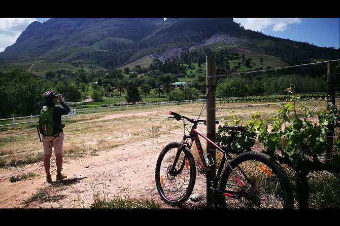 Stellenbosch Private E-Bike & Wine Tour - Discovering Premium Wineries