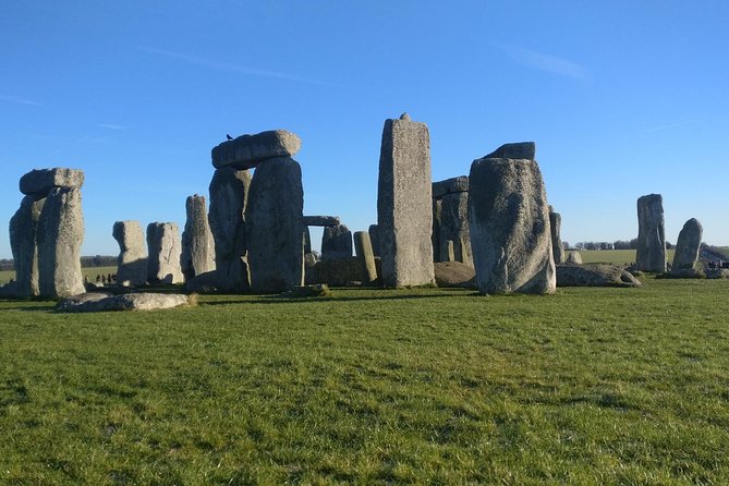 Stonehenge Half-Day Luxury Guided Tour From Bath for 2-8 - Knowledgeable Local Guide