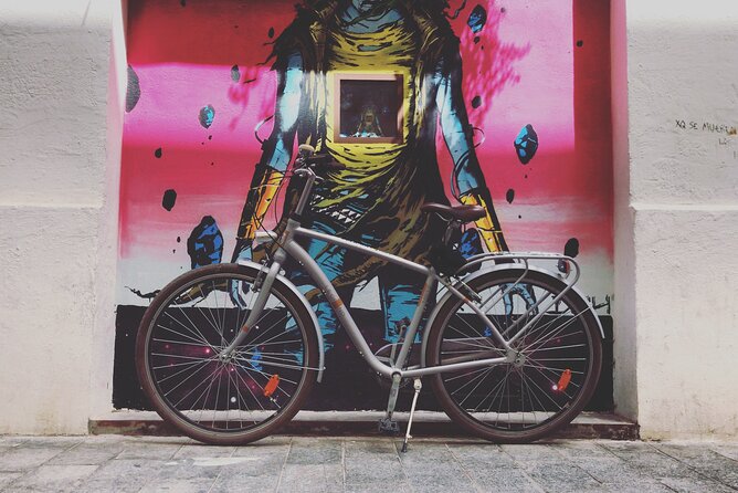 STREET ART Private Guided Tour on Bike, E-Bike, E-Step or Segway - Pricing and Cancellation Policy