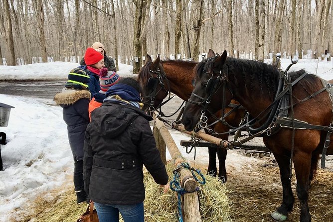 Sugar Shack (Feb to May) Maple Syrup Private Day Tour With Lunch From Montreal - Guest Reviews