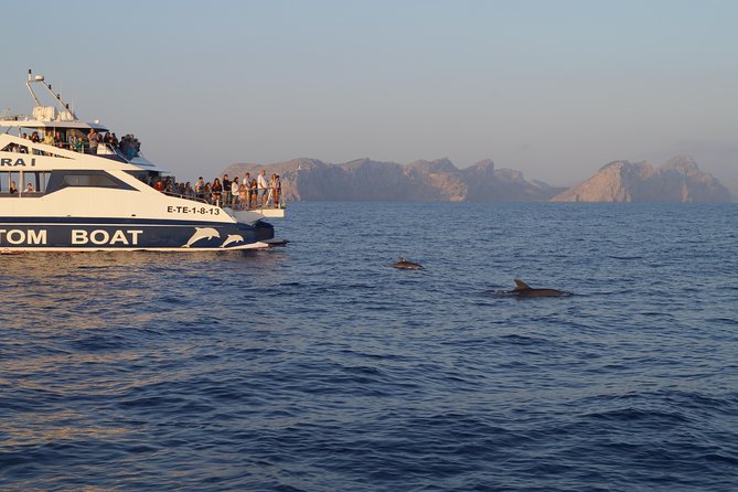 Sunrise Boat Trip in Mallorca With Dolphin-Watching - Accessibility and Transportation Options