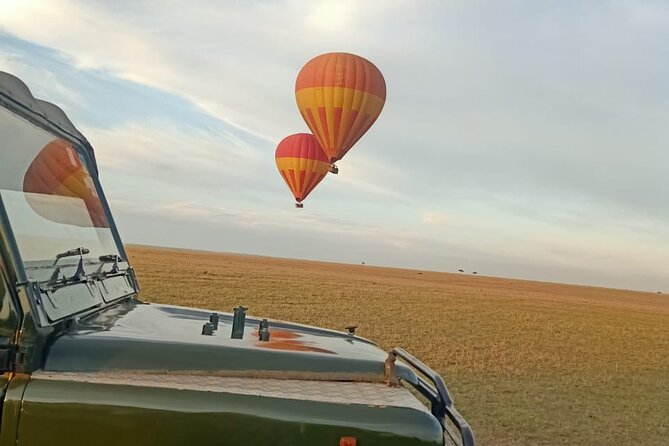 Sunrise Hot Air Balloon Safari in Masai Mara - Booking and Reservation Process