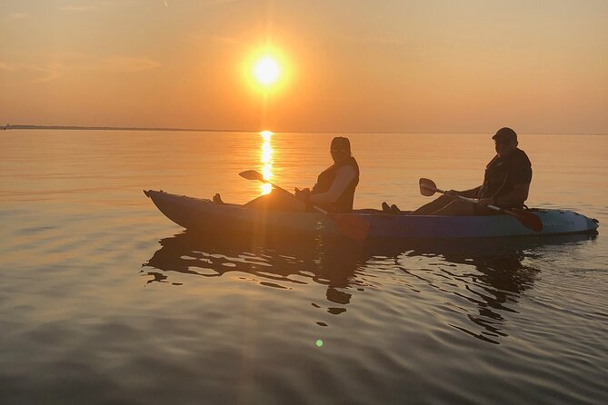 Sunset Dolphin Kayak Tours - Sustainability Efforts