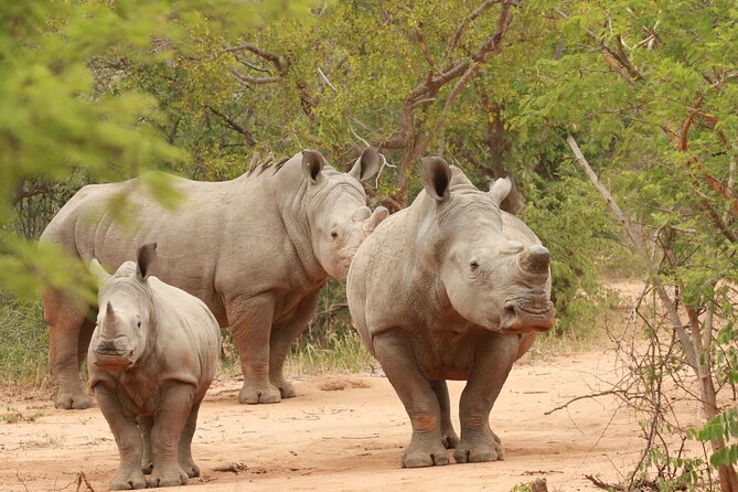 Sunset Game Drive Safari Near Hoedspruit - Additional Information