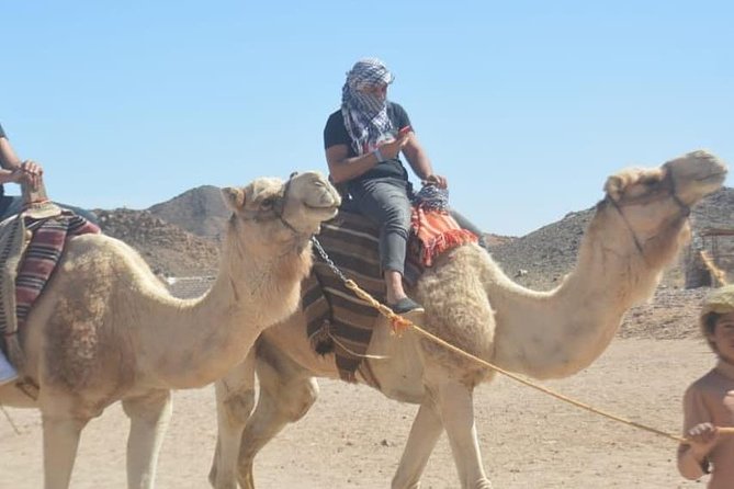 Super Safari: Jeep, Buggy, Quad With Lunch and Show in Hurghada - Special Offer