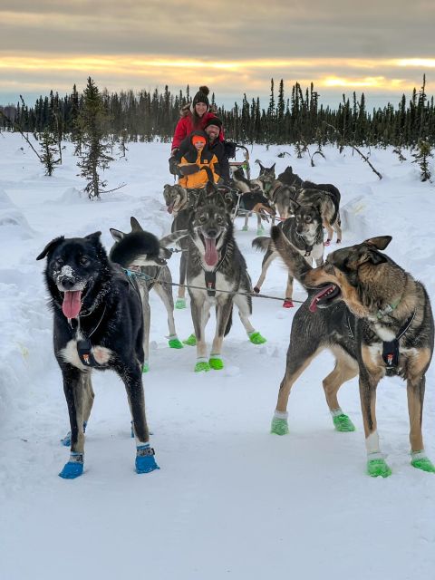 Talkeetna: Winter Dog Sled Tour Morning or Night Mush! - Tour Duration and Conditions